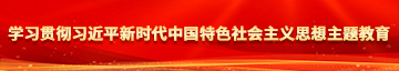 国产穴网址学习贯彻习近平新时代中国特色社会主义思想主题教育